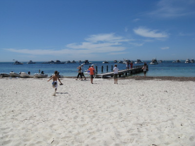 ロットネスト島